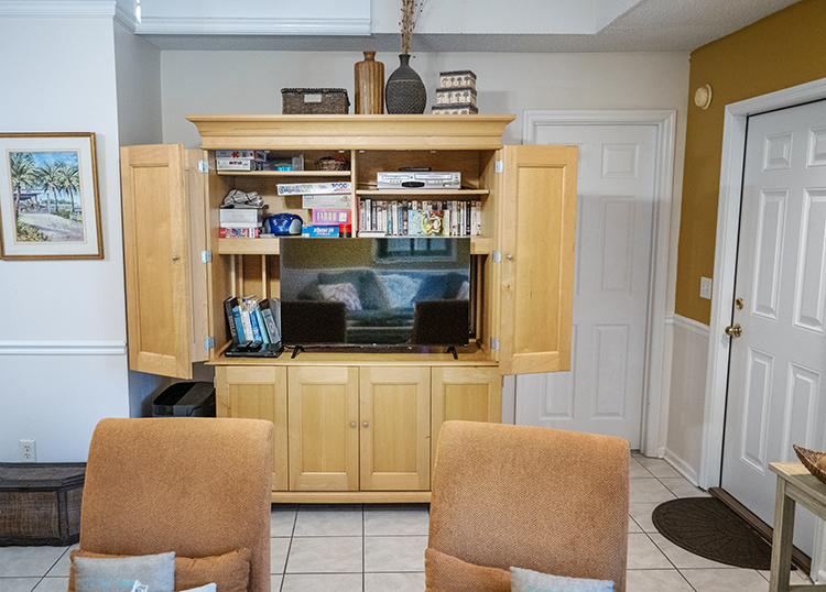 Living room with seating and entertainment area